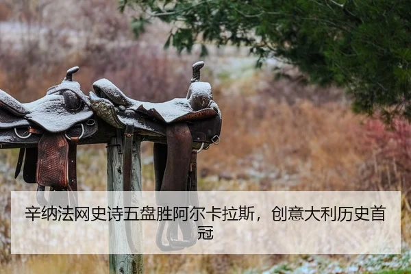 辛纳法网史诗五盘胜阿尔卡拉斯，创意大利历史首冠