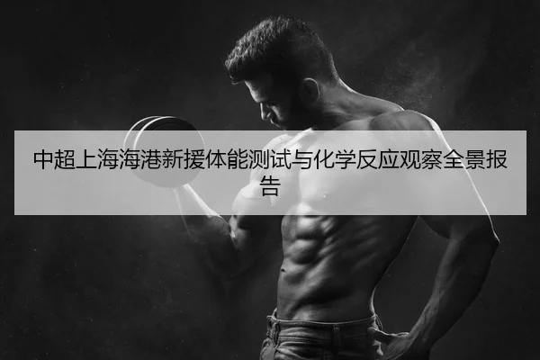 zhong-chao-shang-hai-hai-gang-xin-yuan-ti-neng-ce-shi-yu-hua-xue-fan-ying-guan-cha-quan-jing-bao-gao-2-657.jpg